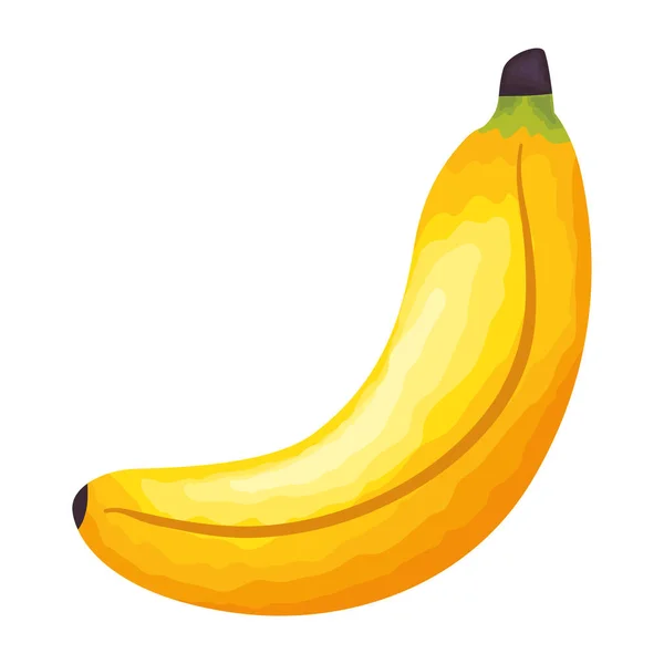 Fruta Banana Fresca Ícone Saudável — Vetor de Stock