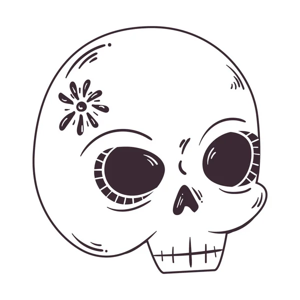 Cráneo Esotérico Con Icono Flor — Vector de stock