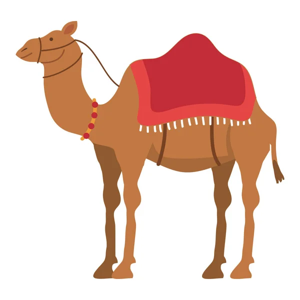 Верблюд Пустелі Транспорт Значок Тварин — стоковий вектор