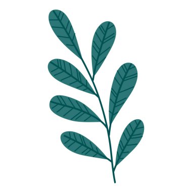 Yaprak yaprağı simgesine sahip dal