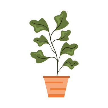 saksı bitkisi doğa simgesi