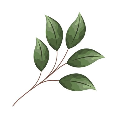 Yaprak yaprağı simgesine sahip dal