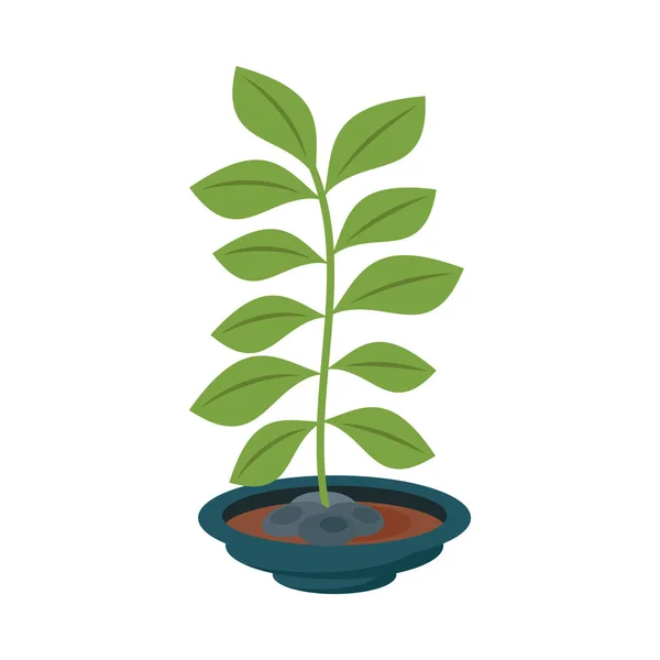 緑のボウルのアイコンの観葉植物 — ストックベクタ