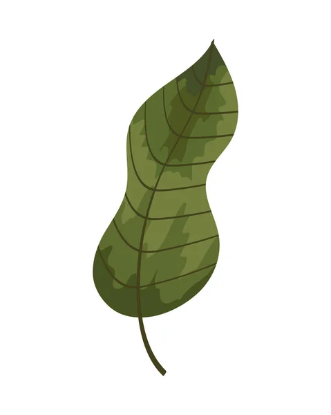 Green Leaf Plant Foliage Nature Icon — Image vectorielle