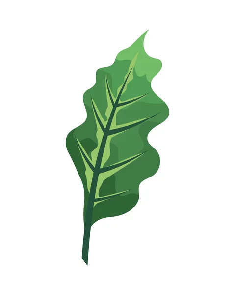 Leave Plant Foliage Nature Icon — Stockový vektor