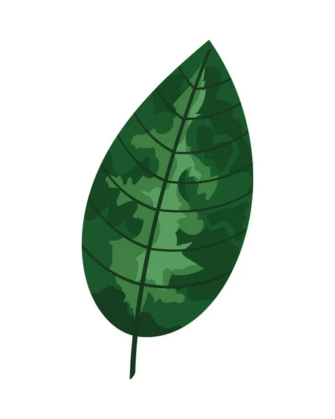 Πράσινο Φύλλο Φύτευσης Άδεια Εικονίδιο — Διανυσματικό Αρχείο