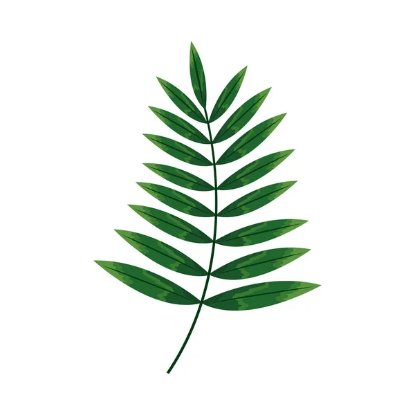 葉を持つ熱帯の枝 — ストックベクタ