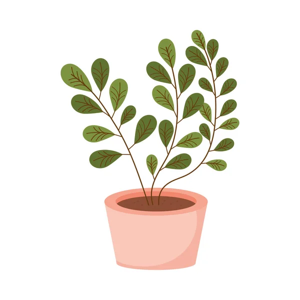 Plante Intérieur Pot Rose Icône — Image vectorielle