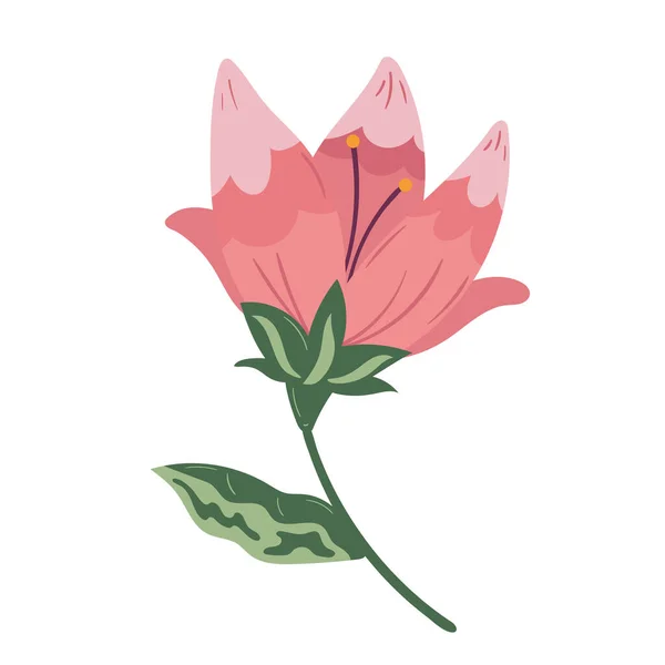 ピンクの花の葉の自然アイコン — ストックベクタ