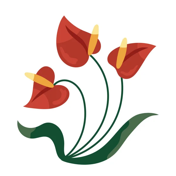 Anthurium Exotic Flower Garden Nature Icon — Stock Vector