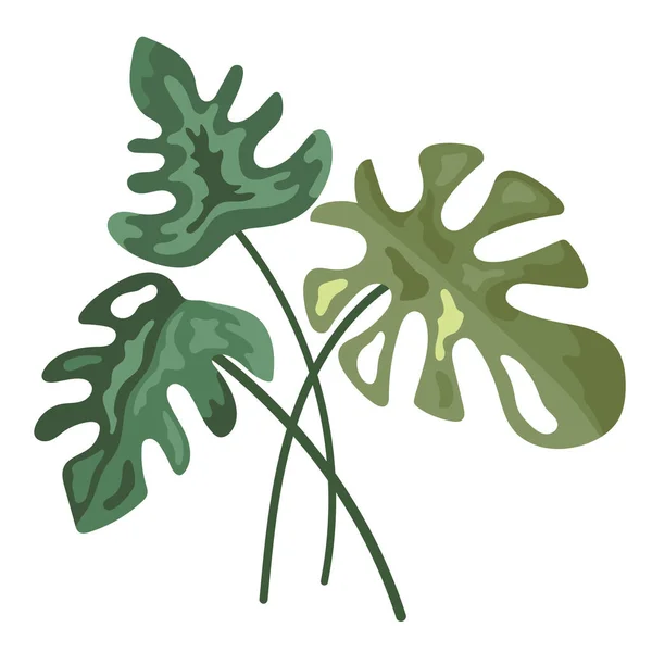 熱帯の葉植物の葉の自然アイコン — ストックベクタ