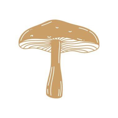 Mantar altın simya stili simya