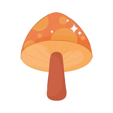 turuncu mantar bitkisi boho tarzı