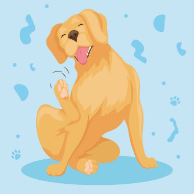 Golden retriever köpek maskotu karakteri