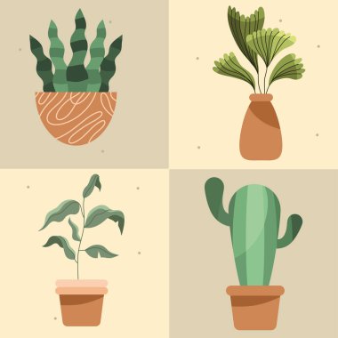 Çömlek simgelerinde dört ev bitkisi