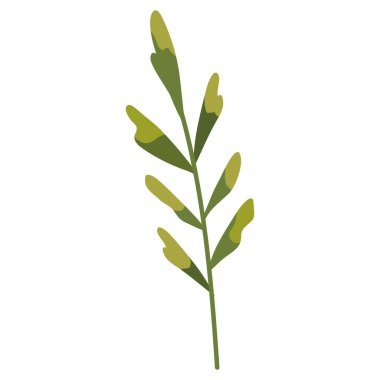 Yaprak yaprağı simgesine sahip dal