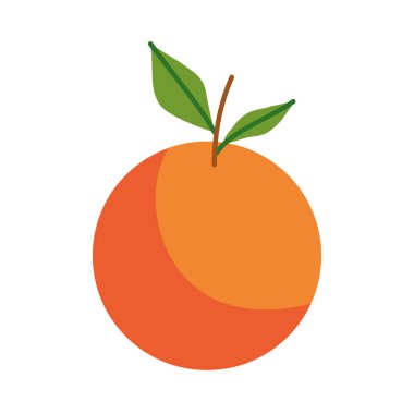 turuncu turunçgiller sağlıklı ikon