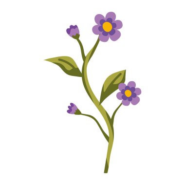 leylak çiçekleri bahçe dekorasyonu doğa