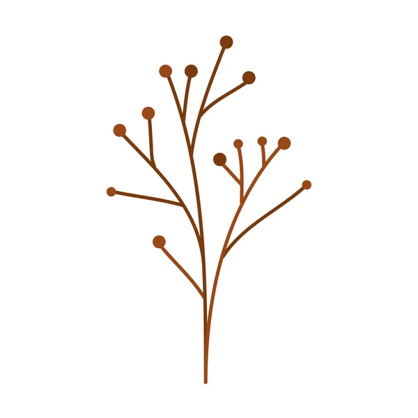 Branch Seeds Foliage Icon — Stock Vector