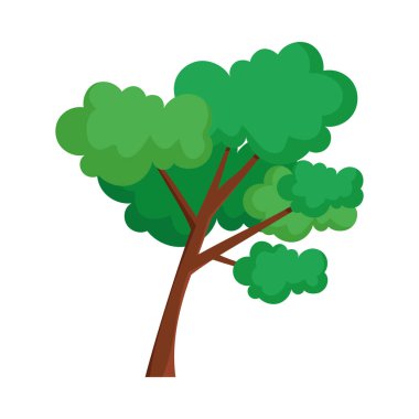 eğri ağaç bitkisi doğa simgesi