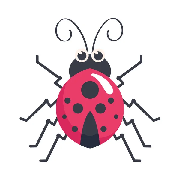 Ladybug Insect Garden Animal Icon — Stock Vector