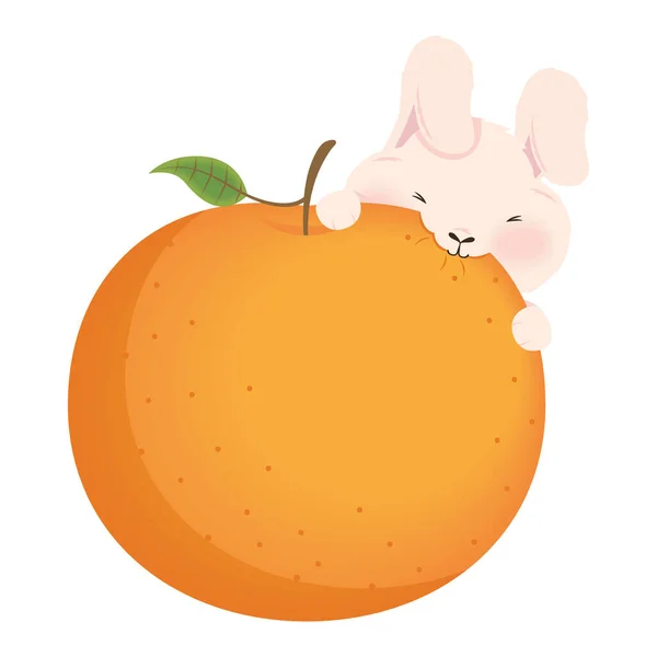 Rabbit Eating Orange Fruit Character — Stock Vector