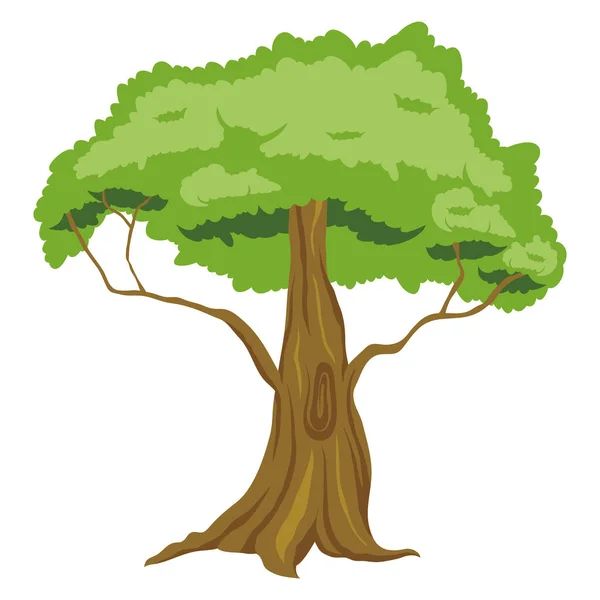 Tree Plant Forest Nature Icon — Stock Vector