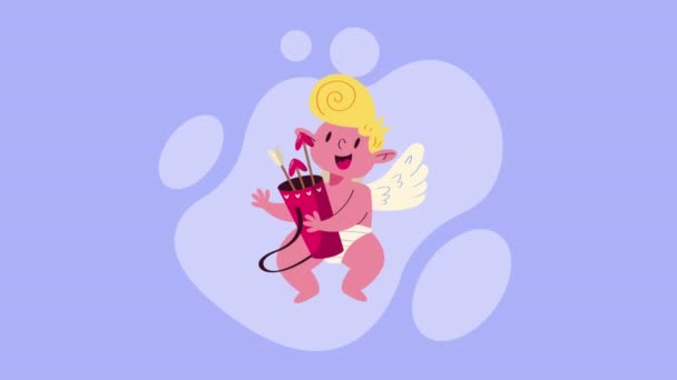 Cupid Angel Arrows Animation Video Animated — Stock Video