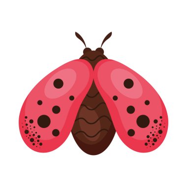 ladybug insect flying animal icon