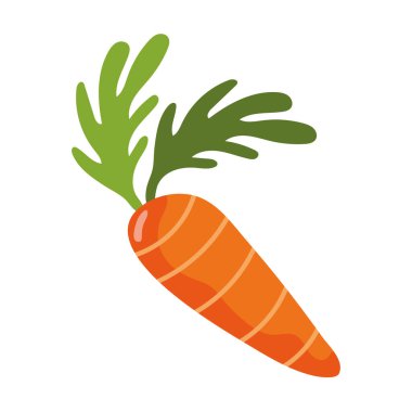 Taze havuç sebze sağlıklı yiyecek.