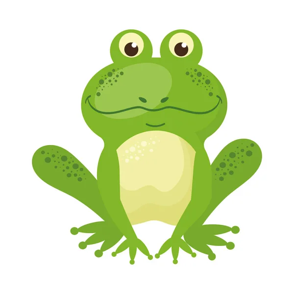 cute toad animal reptile icon