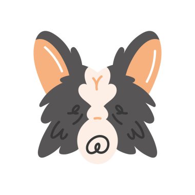 border collie dog pet head