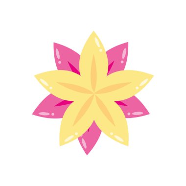 yellow and pink exotic flower icon
