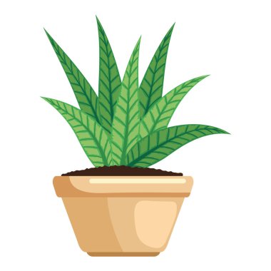 Bej rengi saksı bitkisi doğa simgesi