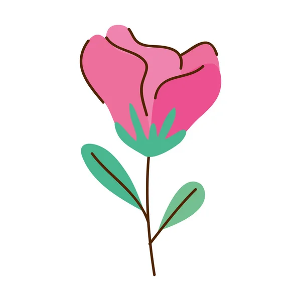 Fucshia Rose Flower Spring Icon — Vector de stock