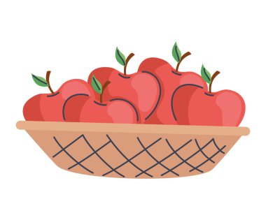 fresh apples fruits in basket icon