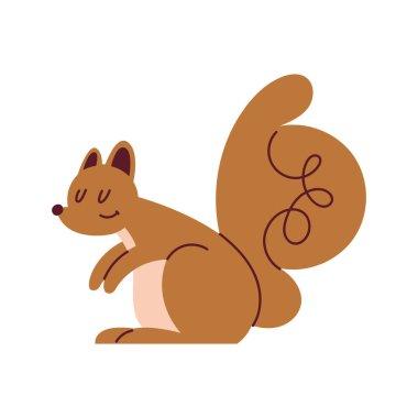 cute squirrel wild animal character