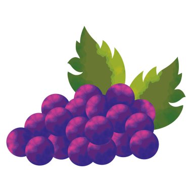 fresh grapes fruit healthy icon