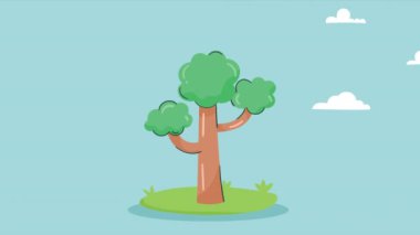 tree plant forest ecology animation ,4k video animated