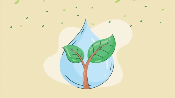 Water Drop Plant Animation Video Animated — Vídeos de Stock