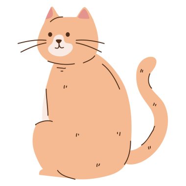 sarı kedi maskotu hayvan karakteri