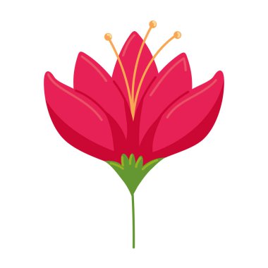 kırmızı egzotik çiçek doğa ikonu