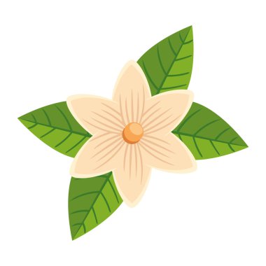 white exotic flower nature icon