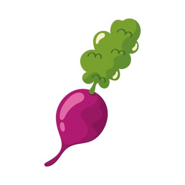 Taze pancar sebzesi sağlıklı yiyecek.