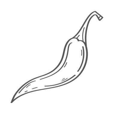 chilli vegetable hand draw style