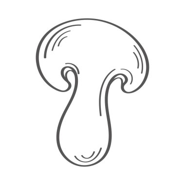 fresh mushroom vegetable hand draw style