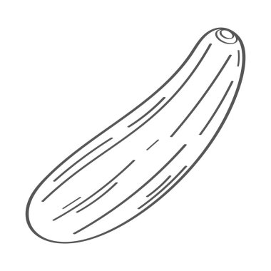 fresh cucumber vegetable hand draw style