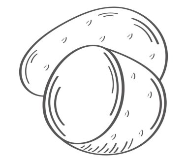 fresh potatoes vegetable hand draw style