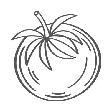 fresh tomato vegetable hand draw style