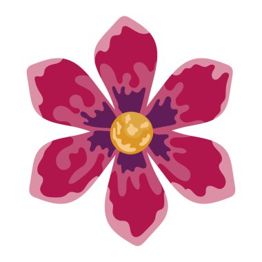 kırmızı çiçek bahçesi dekorasyonu doğa